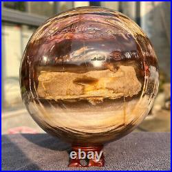2165g Natural Petrified Wood Fossil Quartz Crystal Sphere Mineral Specimen 2165g Natural Petrified Wood Fossil Quartz Crystal Sphere Mineral Specimen