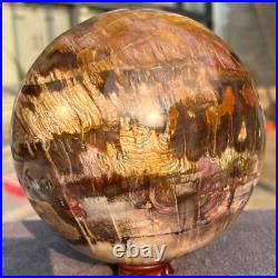 2165g Natural Petrified Wood Fossil Quartz Crystal Sphere Mineral Specimen 2165g Natural Petrified Wood Fossil Quartz Crystal Sphere Mineral Specimen