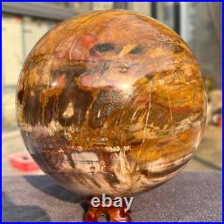 2165g Natural Petrified Wood Fossil Quartz Crystal Sphere Mineral Specimen 2165g Natural Petrified Wood Fossil Quartz Crystal Sphere Mineral Specimen