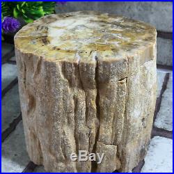 2177g Beautiful Polished Petrified Wood Crystal Slice Madagascar