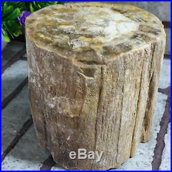 2177g Beautiful Polished Petrified Wood Crystal Slice Madagascar