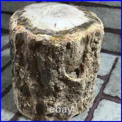 2184g Beautiful Polished Petrified Wood Fossil Crystal Slice Madagascar