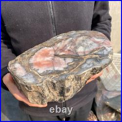 21.1lb Natural petrified wood rough Wood fossil mineral specimen tariff-free 21.1lb Natural petrified wood rough Wood fossil mineral specimen tariff-free