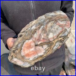 21.1lb Natural petrified wood rough Wood fossil mineral specimen tariff-free 21.1lb Natural petrified wood rough Wood fossil mineral specimen tariff-free