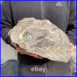 21.1lb Natural petrified wood rough Wood fossil mineral specimen tariff-free 21.1lb Natural petrified wood rough Wood fossil mineral specimen tariff-free