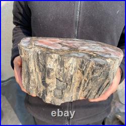 21.1lb Natural petrified wood rough Wood fossil mineral specimen tariff-free 21.1lb Natural petrified wood rough Wood fossil mineral specimen tariff-free