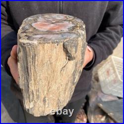 21.1lb Natural petrified wood rough Wood fossil mineral specimen tariff-free 21.1lb Natural petrified wood rough Wood fossil mineral specimen tariff-free