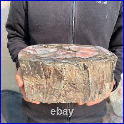 21.1lb Natural petrified wood rough Wood fossil mineral specimen tariff-free 21.1lb Natural petrified wood rough Wood fossil mineral specimen tariff-free