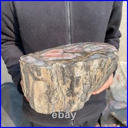 21.1lb Natural petrified wood rough Wood fossil mineral specimen tariff-free 21.1lb Natural petrified wood rough Wood fossil mineral specimen tariff-free