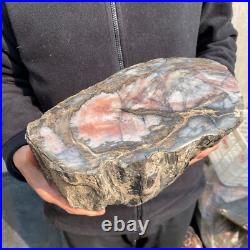 21.1lb Natural petrified wood rough Wood fossil mineral specimen tariff-free 21.1lb Natural petrified wood rough Wood fossil mineral specimen tariff-free