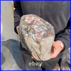 21.1lb Natural petrified wood rough Wood fossil mineral specimen tariff-free 21.1lb Natural petrified wood rough Wood fossil mineral specimen tariff-free