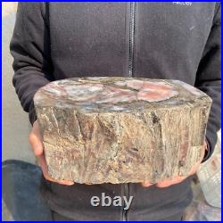 21.1lb Natural petrified wood rough Wood fossil mineral specimen tariff-free 21.1lb Natural petrified wood rough Wood fossil mineral specimen tariff-free