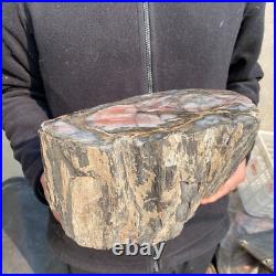 21.1lb Natural petrified wood rough Wood fossil mineral specimen tariff-free 21.1lb Natural petrified wood rough Wood fossil mineral specimen tariff-free