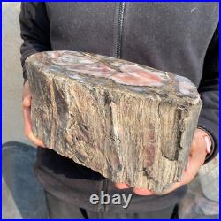 21.1lb Natural petrified wood rough Wood fossil mineral specimen tariff-free 21.1lb Natural petrified wood rough Wood fossil mineral specimen tariff-free