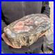 21_1lb_Rare_Natural_petrified_wood_rough_Wood_fossil_mineral_specimen_healing_01_ldwp