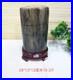 21_23LB_Natural_Petrified_wood_fossil_quartz_crystal_decoration_Mineral_specimen_01_st