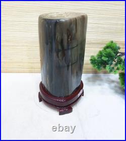21.23LB Natural Petrified wood fossil quartz crystal decoration Mineral specimen 21.23LB Natural Petrified wood fossil quartz crystal decoration Mineral specimen