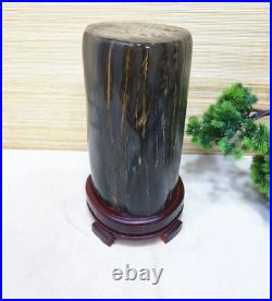 21.23LB Natural Petrified wood fossil quartz crystal decoration Mineral specimen 21.23LB Natural Petrified wood fossil quartz crystal decoration Mineral specimen