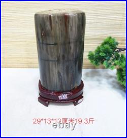 21.23LB Natural Petrified wood fossil quartz crystal decoration Mineral specimen 21.23LB Natural Petrified wood fossil quartz crystal decoration Mineral specimen