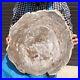 21_64LB_Natural_Petrified_Wood_Slice_Real_Authentic_Piece_History_Fossil_30_01_oa