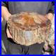21_8lb_Rare_Natural_petrified_wood_rough_Wood_fossil_mineral_specimen_healing_01_yet