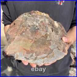 21.8lb Rare Natural petrified wood rough Wood fossil mineral specimen healing 21.8lb Rare Natural petrified wood rough Wood fossil mineral specimen healing