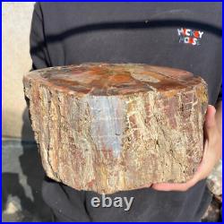 21.8lb Rare Natural petrified wood rough Wood fossil mineral specimen healing 21.8lb Rare Natural petrified wood rough Wood fossil mineral specimen healing