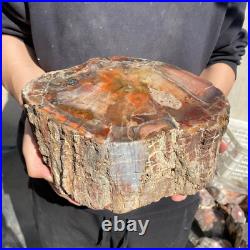 21.8lb Rare Natural petrified wood rough Wood fossil mineral specimen healing 21.8lb Rare Natural petrified wood rough Wood fossil mineral specimen healing