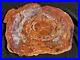 21_Quality_Agate_Fossil_Petrified_Wood_Round_Arizona_Chinle_Red_cr21_01_dymb