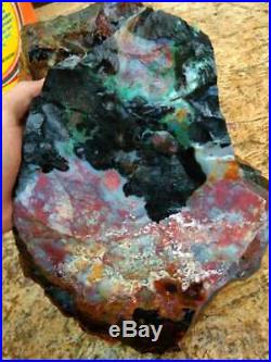 21kg Indonesia Opalized Petrified Wood Multicolour Very Rare Opals Rough AAA FB8