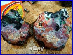 21kg Indonesia Opalized Petrified Wood Multicolour Very Rare Opals Rough AAA FB8