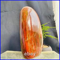 2201g Natural Red Petrified Wood Fossil Crystal Specimens Stone Reiki Healing