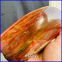 2201g Natural Red Petrified Wood Fossil Crystal Specimens Stone Reiki Healing