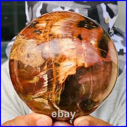 2240g Large Natural Petrified Wood Crystal Fossil Geodes Sphere Specimen