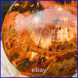 2240g Large Natural Petrified Wood Crystal Fossil Geodes Sphere Specimen