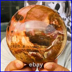 2240g Large Natural Petrified Wood Crystal Fossil Geodes Sphere Specimen