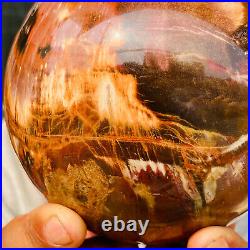 2240g Large Natural Petrified Wood Crystal Fossil Geodes Sphere Specimen