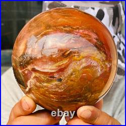 2240g Large Natural Petrified Wood Crystal Fossil Geodes Sphere Specimen