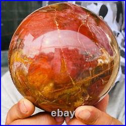 2240g Large Natural Petrified Wood Crystal Fossil Geodes Sphere Specimen