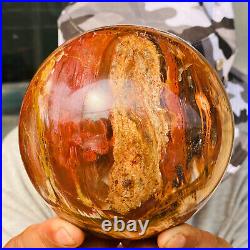 2240g Large Natural Petrified Wood Crystal Fossil Geodes Sphere Specimen