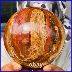 2240g Large Natural Petrified Wood Crystal Fossil Geodes Sphere Specimen