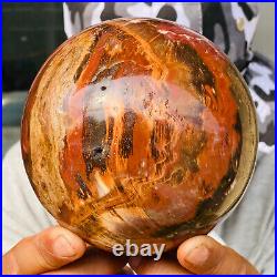 2240g Large Natural Petrified Wood Crystal Fossil Geodes Sphere Specimen