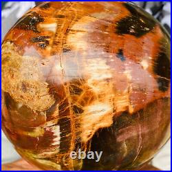 2240g Large Natural Petrified Wood Crystal Fossil Geodes Sphere Specimen