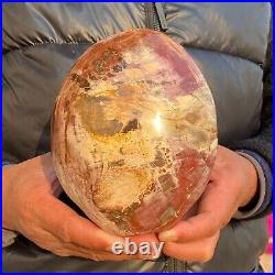 2240g Natural Petrified Wood Fossil Crystal Specimens Stone Reiki Healing