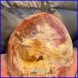 2240g Natural Petrified Wood Fossil Crystal Specimens Stone Reiki Healing