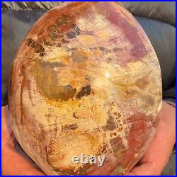 2240g Natural Petrified Wood Fossil Crystal Specimens Stone Reiki Healing