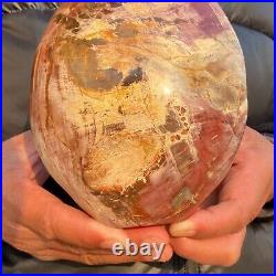 2240g Natural Petrified Wood Fossil Crystal Specimens Stone Reiki Healing