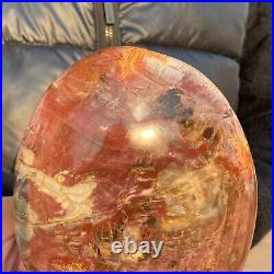 2240g Natural Petrified Wood Fossil Crystal Specimens Stone Reiki Healing