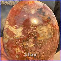 2240g Natural Petrified Wood Fossil Crystal Specimens Stone Reiki Healing