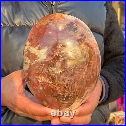 2240g Natural Petrified Wood Fossil Crystal Specimens Stone Reiki Healing